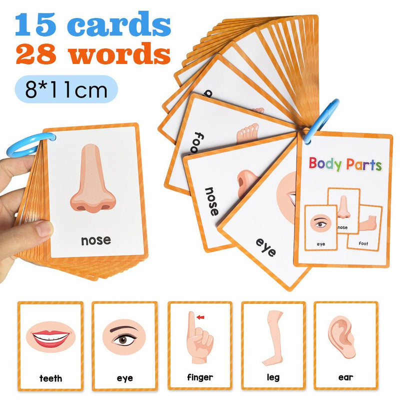 Conjunto de Aprendizaje Montessori de 15 Tarjetas - Involucre a los Niños con Vocabulario de 28 Partes del Cuerpo & ¡Potencie Habilidades Cognitivas! - SACASUSA