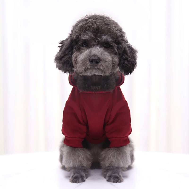 ¡Abrígate con estilo! Sweater de invierno superior para perros: Suave, cálido, tejido de 100% poliéster, lavable a máquina, perfecto para razas pequeñas - SACASUSA