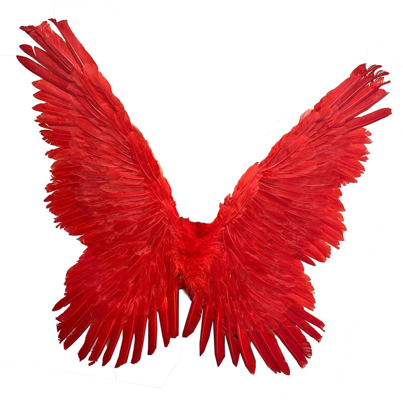 Alas de ángel de hada y mariposa de plumas rojas hechas a mano para disfraz de Halloween, alas para hombres, mujeres y adultos L - SACASUSA