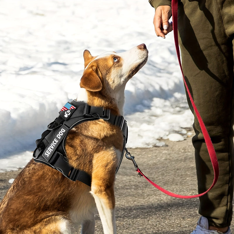 Arnés Para Perros De Servicio Reflectante Con 5 Parches, Arnés Para Mascotas De Oxford Suave Ajustable, Capa Interna De Malla, Fácil De Controlar Para Perros Pequeños, Medianos Y Grandes - SACASUSA