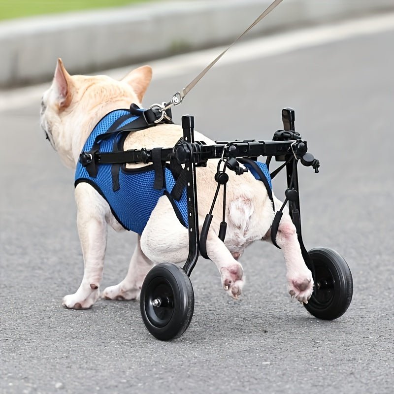 Caminar con Facilidad y Libertad: Silla de Ruedas Ajustable Grande para Perros, Sin Batería, para las Patas Traseras — Una Ayuda de Movilidad Esencial para Mascotas Discapacitadas, Mejorando su Vida - SACASUSA