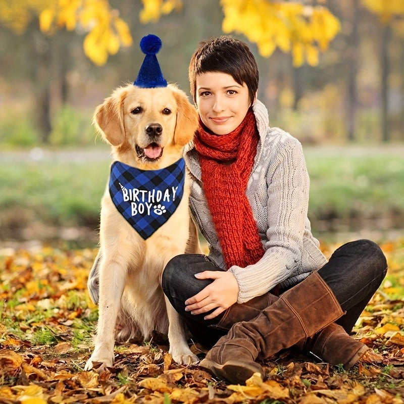 ¡Celebra el Cumpleaños de Tu Mascota: Encantador Set de Pañuelo y Gorro de Fiesta con Diseño de Caricaturas en Azul, Perfecto para Momentos Festivos! - SACASUSA