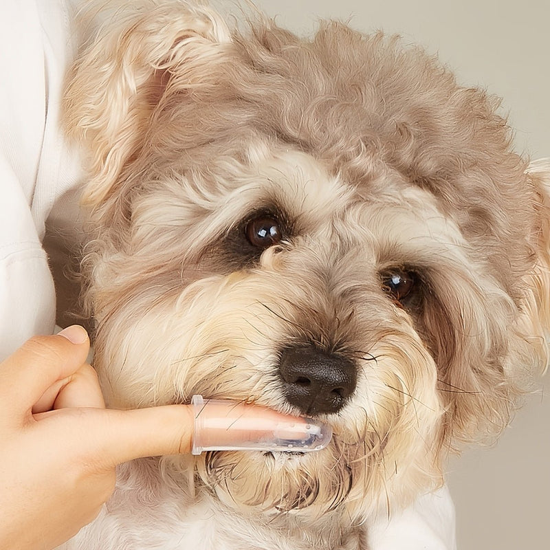 Cepillo de dientes para perros y gato, Cepillo para dedos para todas las mascotas Limpieza de dientes - SACASUSA