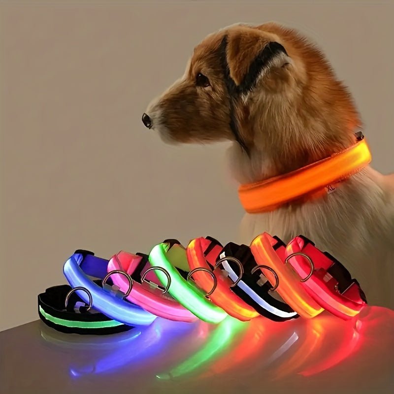 Collar LED de Seguridad Nocturna para Perros Pequeños y Medianos - Ajustable, Funciona con Batería, Brillo Intermitente, Mejora la Visibilidad y Seguridad en Paseos Nocturnos - SACASUSA