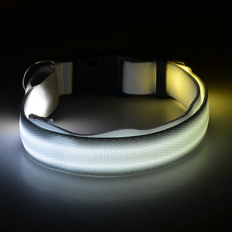 Collar LED Para Perros Y Gatos, Collar Con Luz Para Caminar Al Aire Libre Por La Noche - SACASUSA