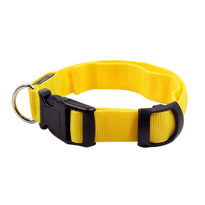 Collar LED Para Perros Y Gatos, Collar Con Luz Para Caminar Al Aire Libre Por La Noche - SACASUSA