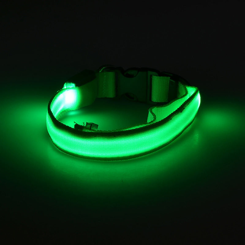 Collar LED Para Perros Y Gatos, Collar Con Luz Para Caminar Al Aire Libre Por La Noche - SACASUSA