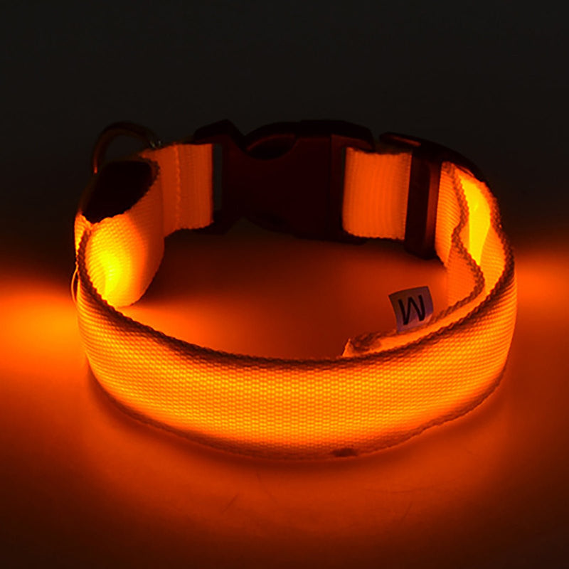 Collar LED Para Perros Y Gatos, Collar Con Luz Para Caminar Al Aire Libre Por La Noche - SACASUSA