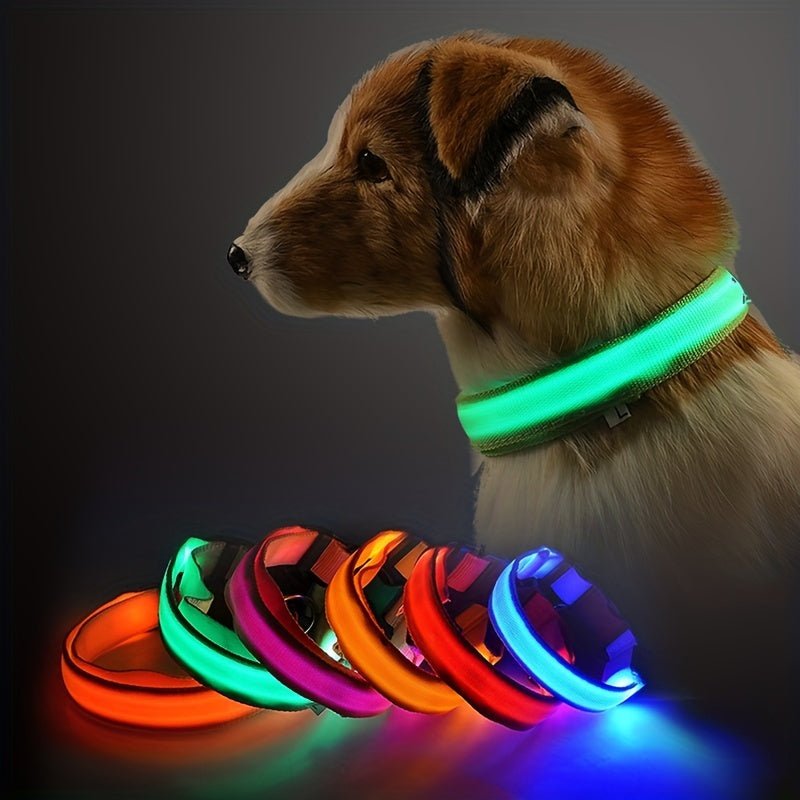 Collar LED Para Perros Y Gatos, Collar Con Luz Para Caminar Al Aire Libre Por La Noche - SACASUSA