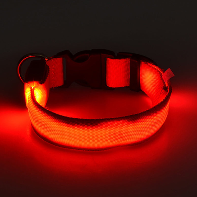 Collar LED Para Perros Y Gatos, Collar Con Luz Para Caminar Al Aire Libre Por La Noche - SACASUSA