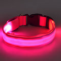 Collar LED Para Perros Y Gatos, Collar Con Luz Para Caminar Al Aire Libre Por La Noche - SACASUSA