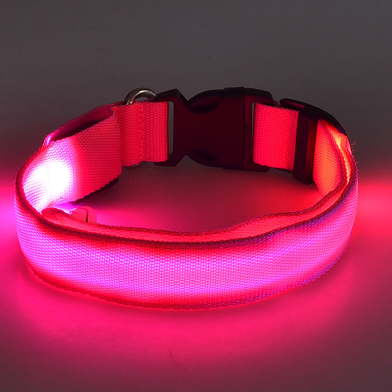 Collar LED Para Perros Y Gatos, Collar Con Luz Para Caminar Al Aire Libre Por La Noche - SACASUSA