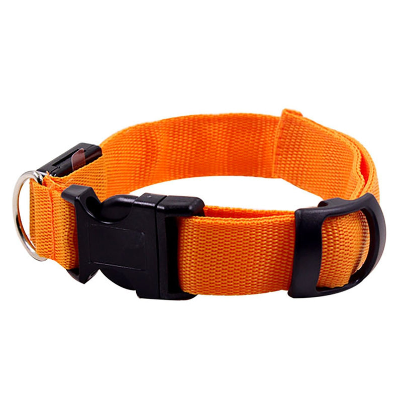 Collar LED Para Perros Y Gatos, Collar Con Luz Para Caminar Al Aire Libre Por La Noche - SACASUSA