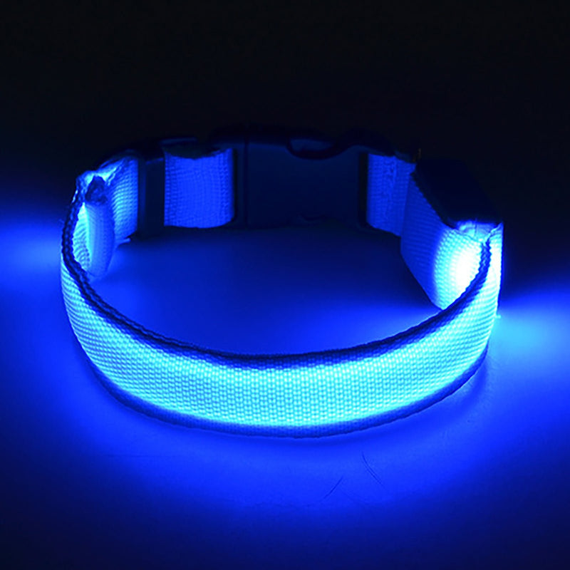 Collar LED Para Perros Y Gatos, Collar Con Luz Para Caminar Al Aire Libre Por La Noche - SACASUSA