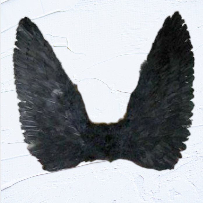 Grandes alas de ángel con plumas negras de 26x22 pulgadas para adultos, mujeres y hombres, accesorios de fotografá­a para disfraces de fiesta de Halloween con Halo gratis - SACASUSA