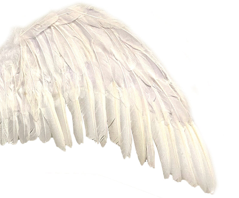 Grandes alas de ángel de hadas grandes de plumas blancas de 47 x 17 pulgadas con halo gratis para alas de disfraces de Halloween Hombres Mujeres Adultos L XXL - SACASUSA