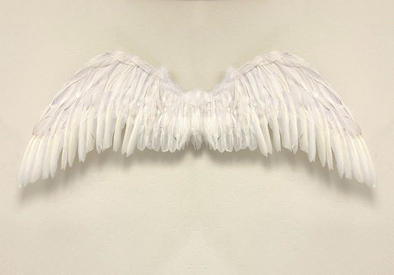 Grandes alas de ángel de hadas grandes de plumas blancas de 47 x 17 pulgadas con halo gratis para alas de disfraces de Halloween Hombres Mujeres Adultos L XXL - SACASUSA