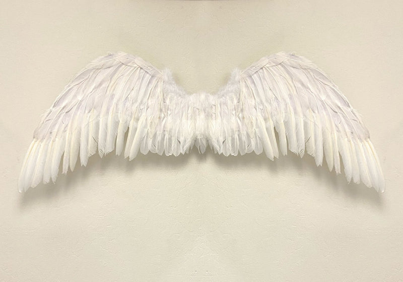 Grandes alas de ángel de hadas grandes de plumas blancas de 47 x 17 pulgadas con halo gratis para alas de disfraces de Halloween Hombres Mujeres Adultos L XXL - SACASUSA