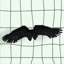 Grandes alas de ángel de plumas negras para adultos con halo gratis - SACASUSA
