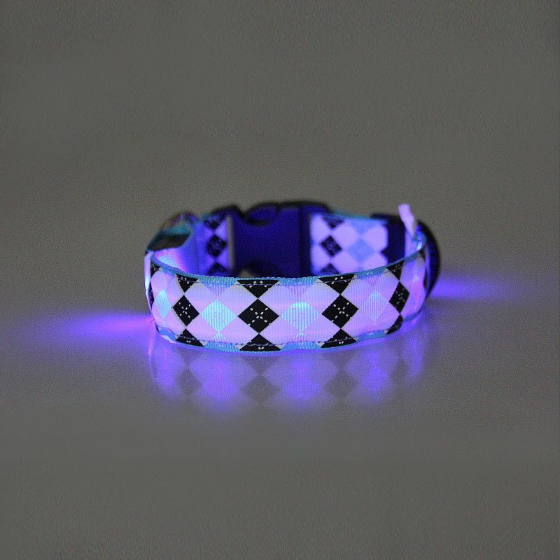 ¡Ilumina Los Paseos Nocturnos De Tu Mascota Con Este Elegante Collar LED Para Perros! - SACASUSA