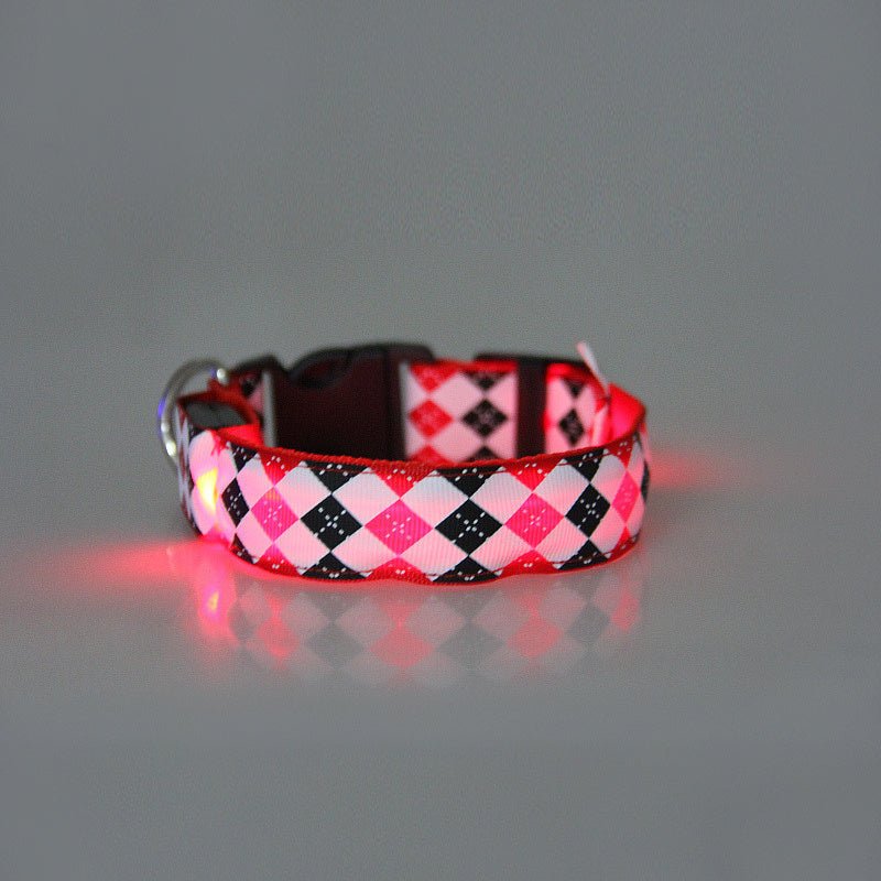 ¡Ilumina Los Paseos Nocturnos De Tu Mascota Con Este Elegante Collar LED Para Perros! - SACASUSA