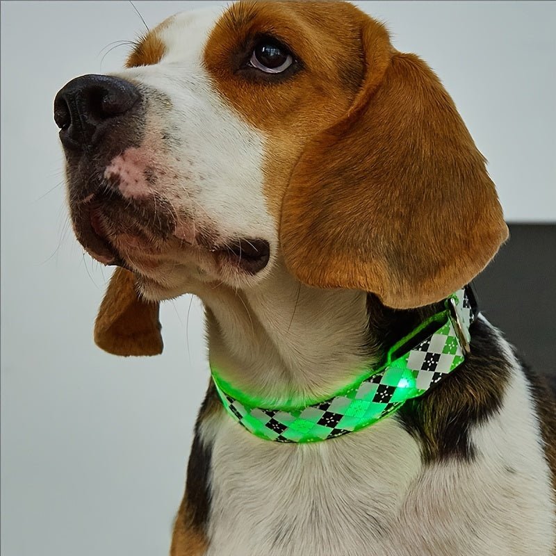 ¡Ilumina Los Paseos Nocturnos De Tu Mascota Con Este Elegante Collar LED Para Perros! - SACASUSA