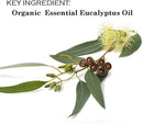 Paquete de 4 bálsamos labiales orgánicos certificados por USDA. 100% orgánico, todos los sabores naturales, cereza, fresa, eucalipto, menta y cera de abejas original, sin parabenos - SACASUSA