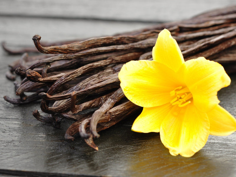 Paquete de 4 bálsamos labiales orgánicos certificados por USDA. 100% orgánico Todos los sabores naturales Coco Pera Menta Vainilla Hecho en EE. UU. Sin parabenos - SACASUSA